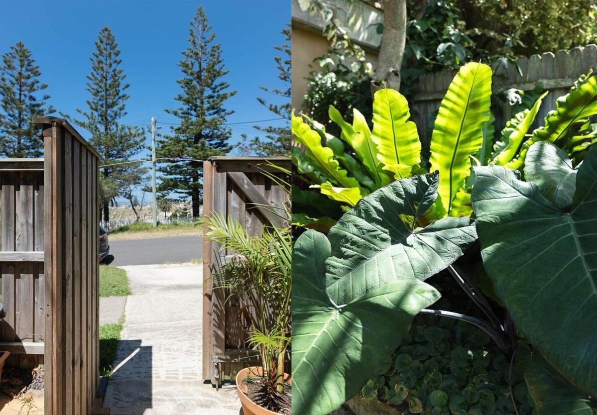 Bronte Boho Chic Near Ocean With Parking *