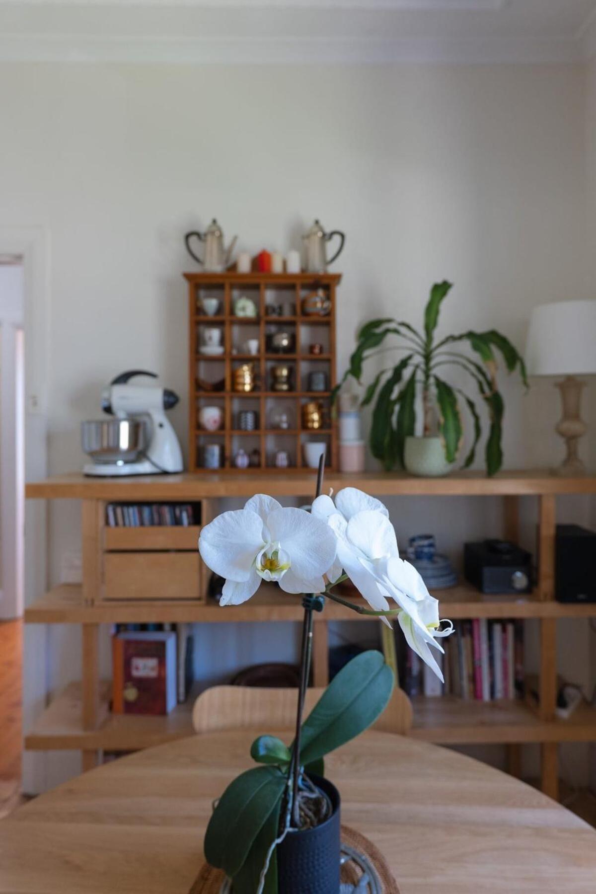 Bronte Boho Chic Near Ocean With Parking Sydney